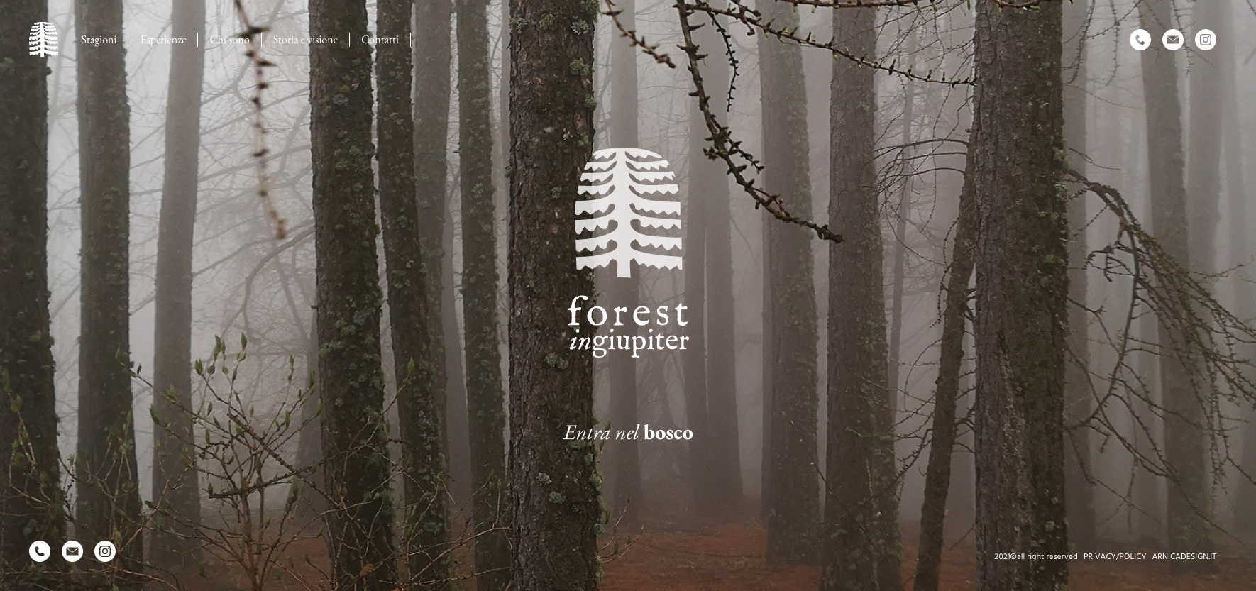 FOREST IN GIUPITER